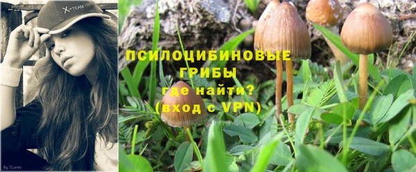 spice Аркадак