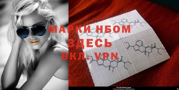 spice Аркадак